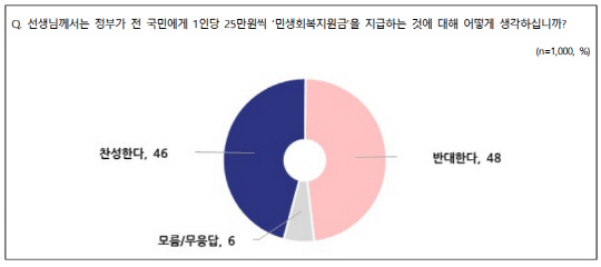 <전국지표조사(NBS) 홈페이지 자료>
